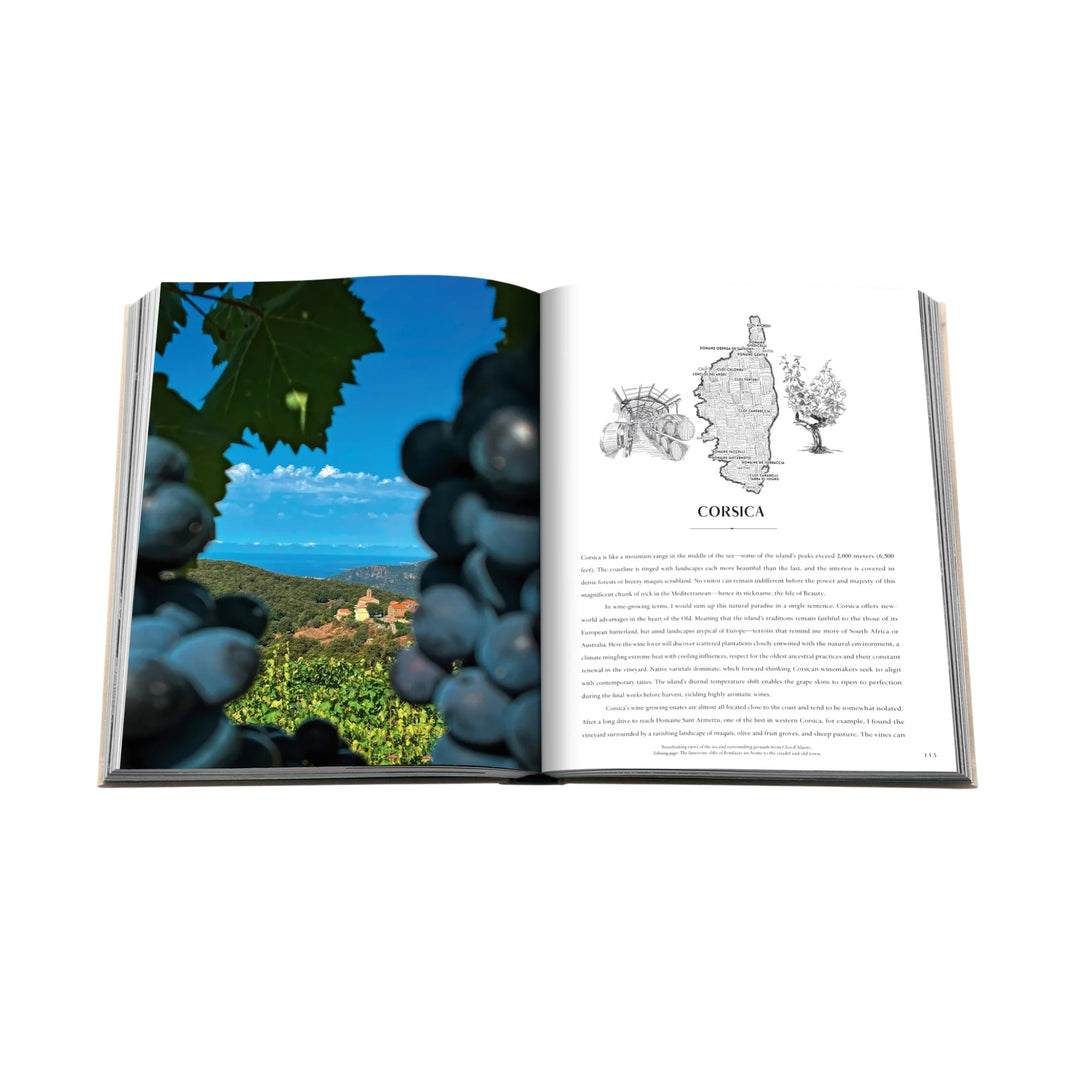 Wine & Travel - France