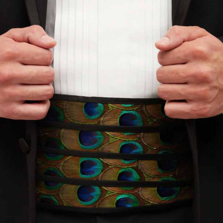 Hugo Cummerbund