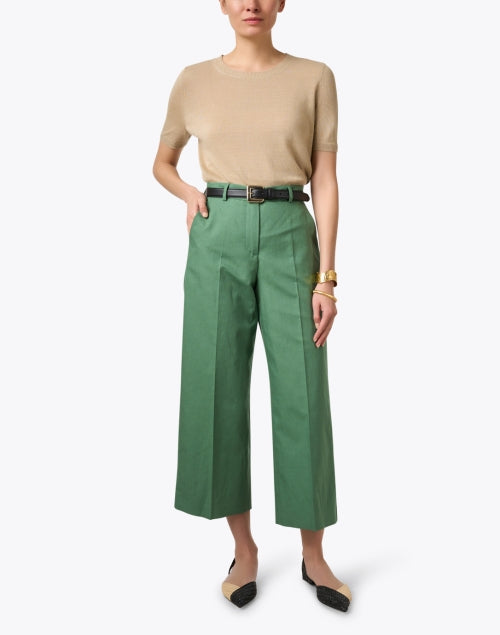 Glossina Belt