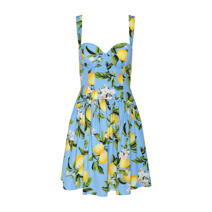 Jai Drop Waist Wire Mini Dress