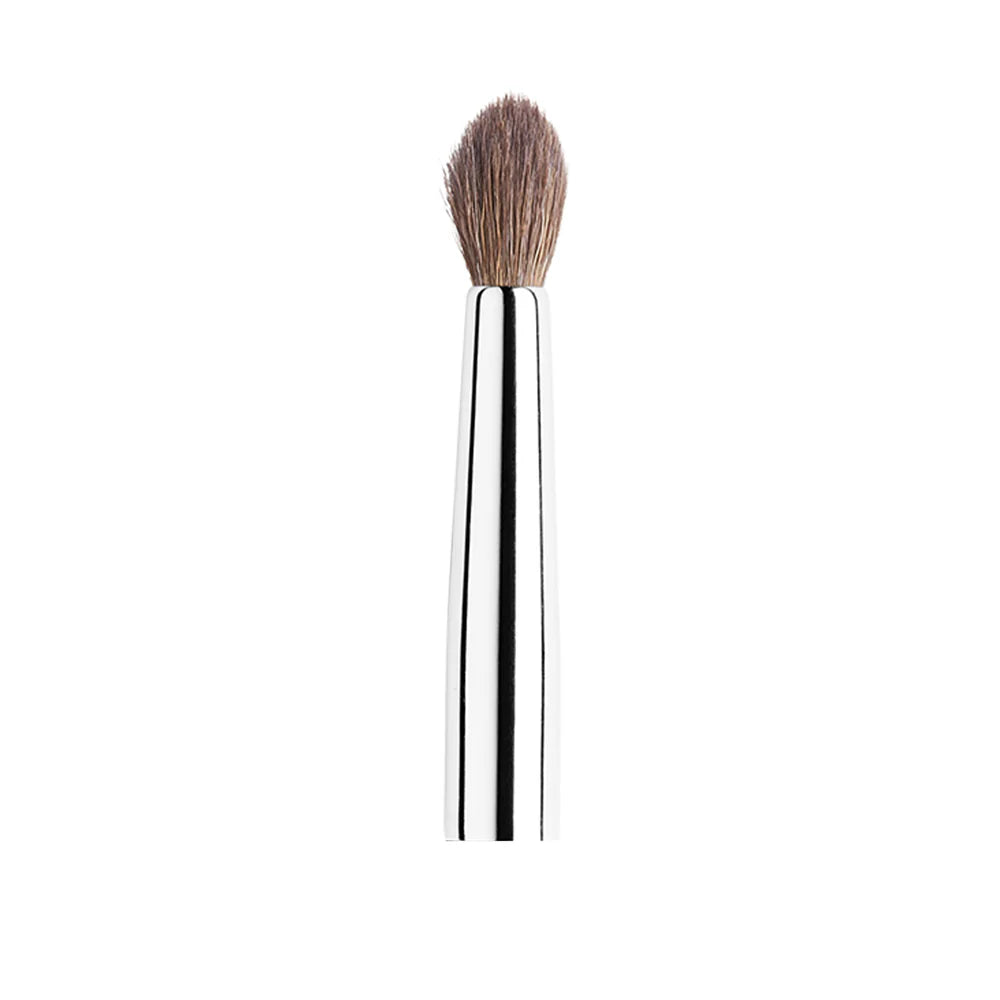 Brush 29 Tapered Blending