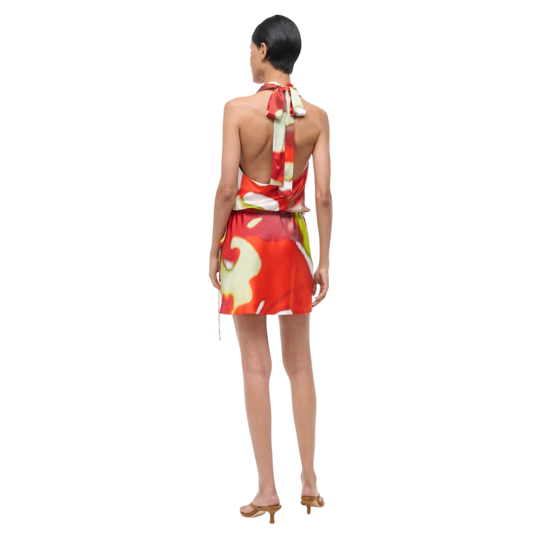 Liora Silk Dress
