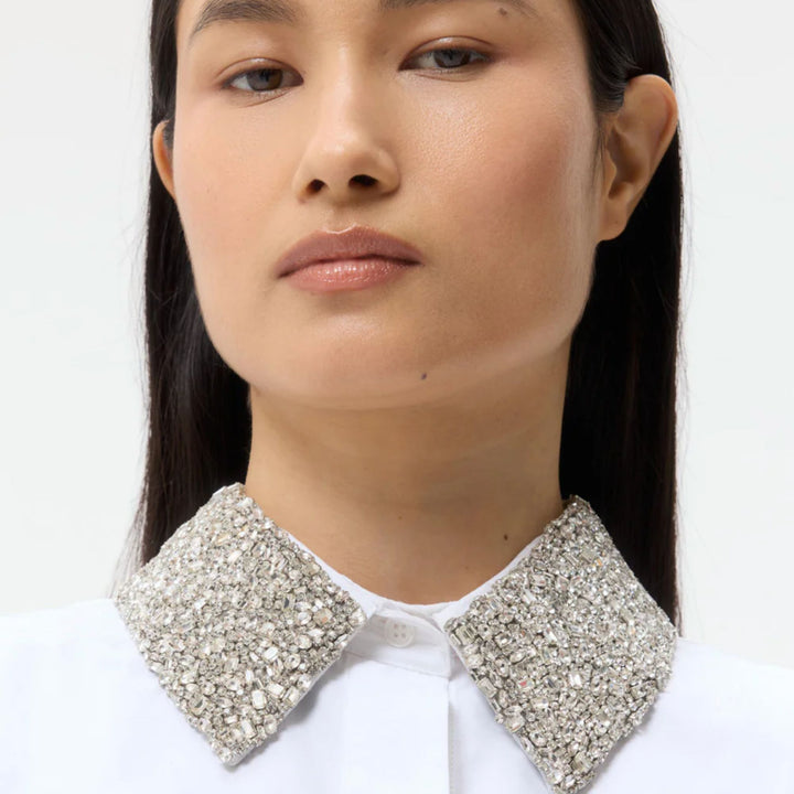 Dude With Crystal Collar
